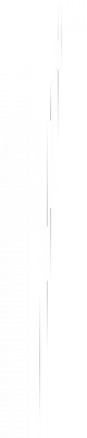 186-2.png