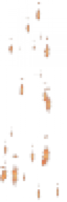 203-19.png