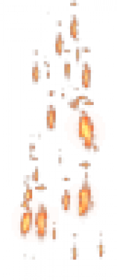 203-17.png