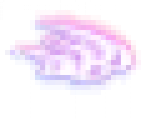 232-2.png