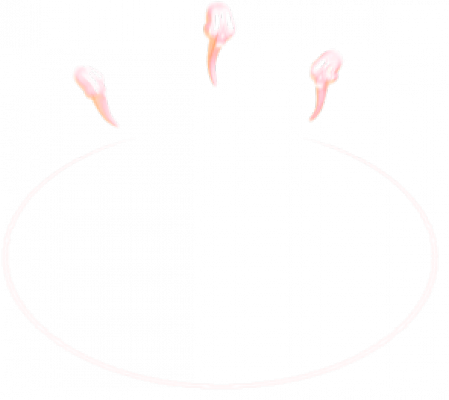 255-10.png