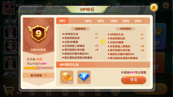 VIP特权2.png