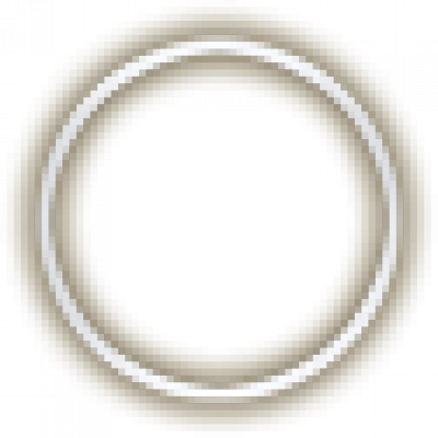 ui_tavern_skill_frame.png