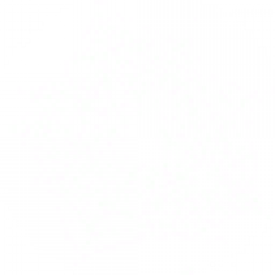 05.png