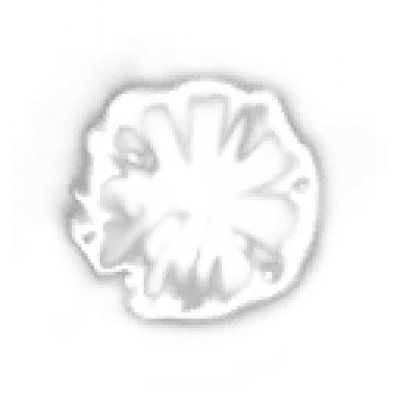 firering.png