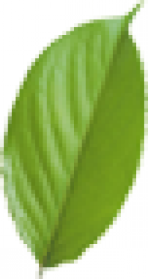 shuye02.png