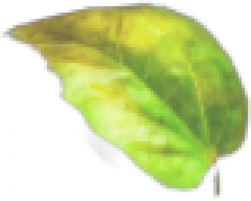 shuye04.png