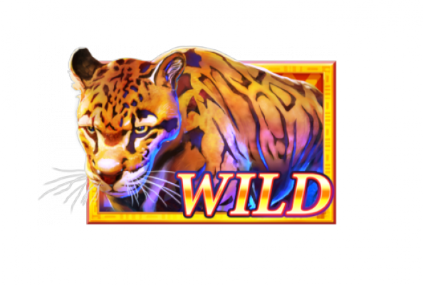 Leopard.003.png