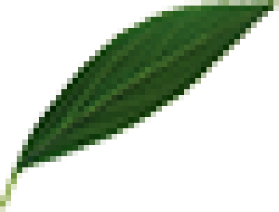 leaf2.png