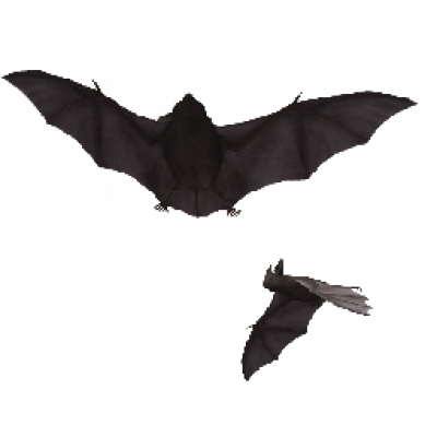 004.png