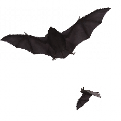 005.png