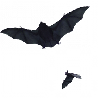 006.png