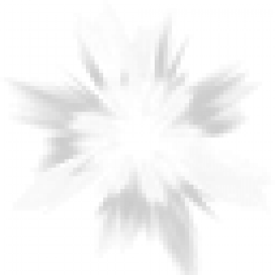 082fsg.png