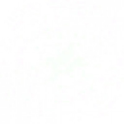 dwqf2dww56.jpg