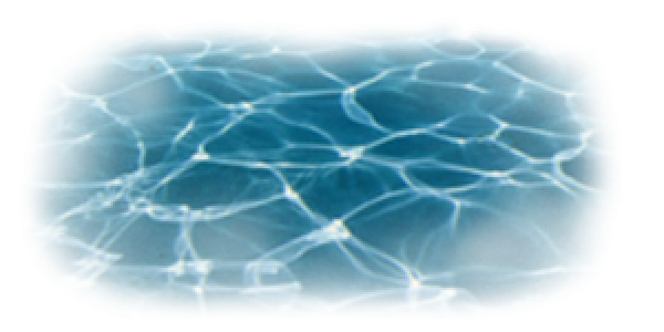 11333223213123.png