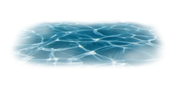 113332232131239999999999999.png