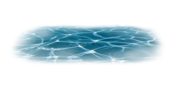 22222222222222222222222222222222222222.png