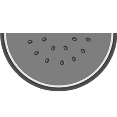 melon.png
