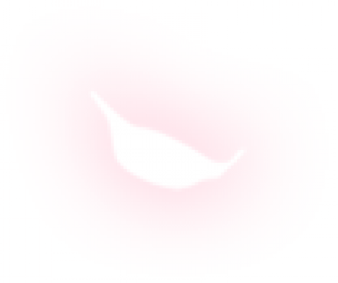 icon_petal_1.png