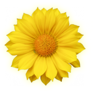 flower1.png