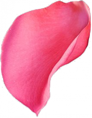 petal.png