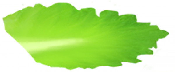 fds_c6_1.png
