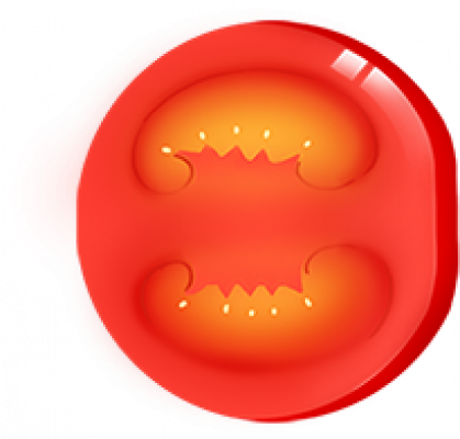 fds_q3_1.png