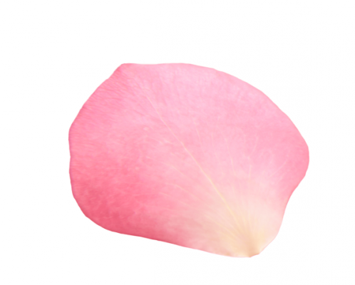 particle_texture.png