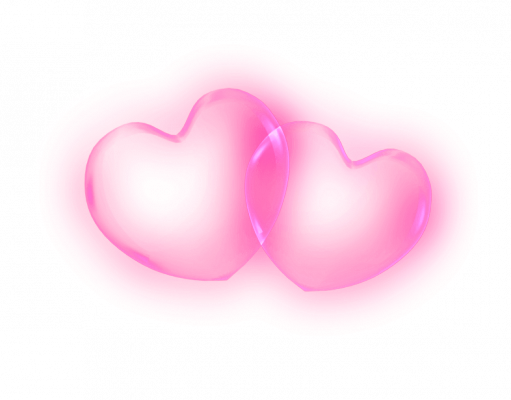 flowers02lovelove.png