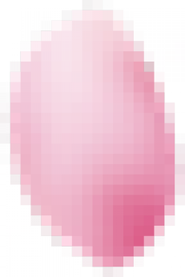 shenbinghua1.png