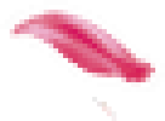 shenbinghua6.png