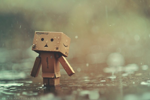 danbo-in-the-rain-by-inzanenewbie-d5vsmn9-1463631770080.jpg