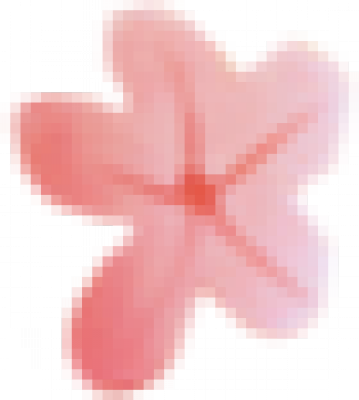 particle_flower01.png