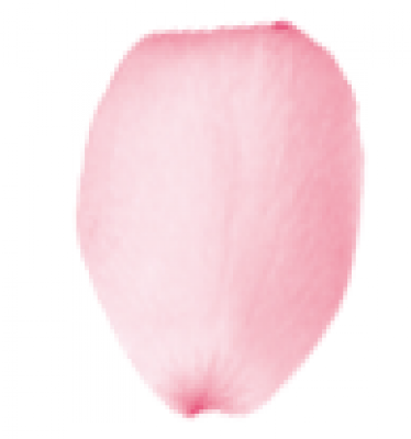 未标题-2.png
