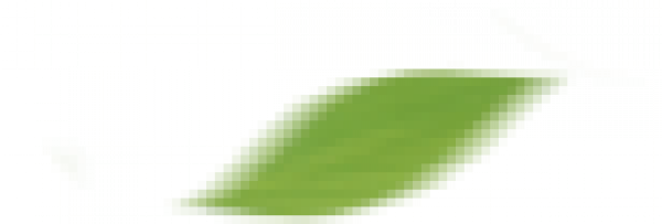 yezi1.png