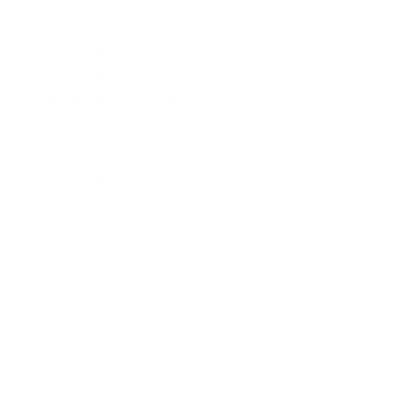 fly_005_a.png