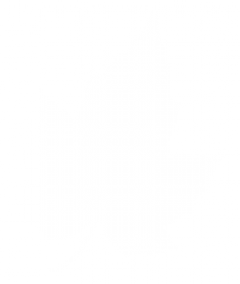 shuye2.png
