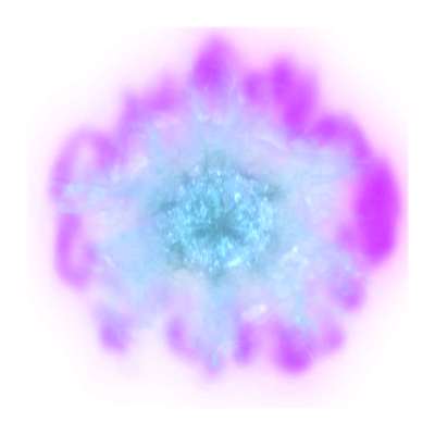 kuosan100 (1).png