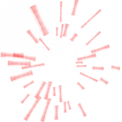 hong.png