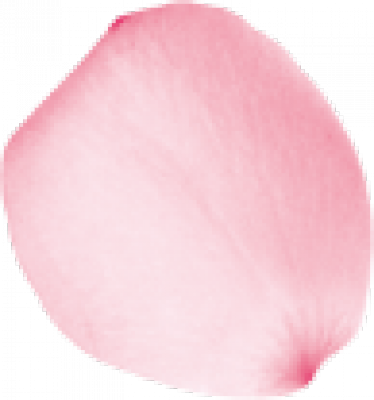huaban .png