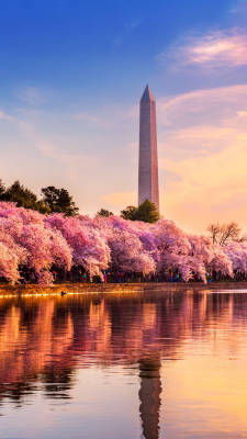 washington_monument.png