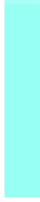 1f_rect.png