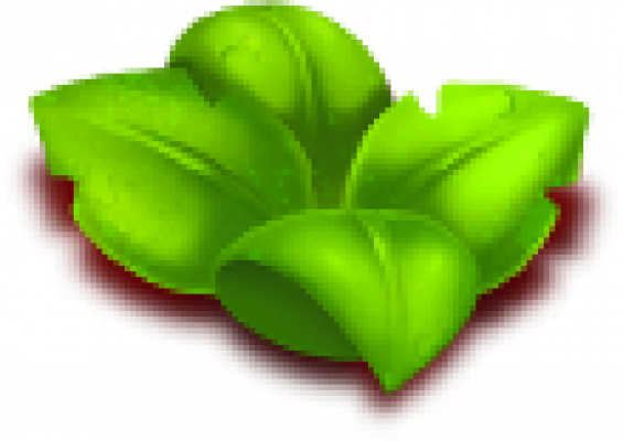 2hua.png