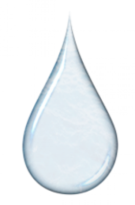 51miz-E838467-EEAE6626.png