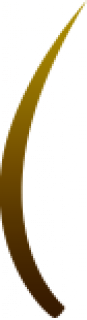 cao.png