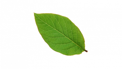 {FE6C66A6-8DB6-4513-83D3-0C28EAB04391}.png