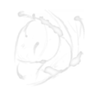 saliva.png