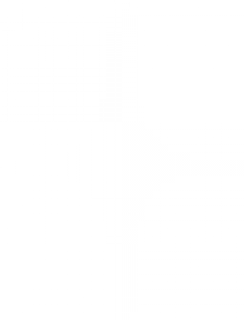 xingxing3.png