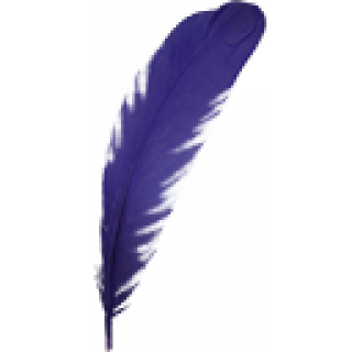 羽毛H.png