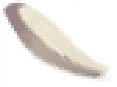 yu.png
